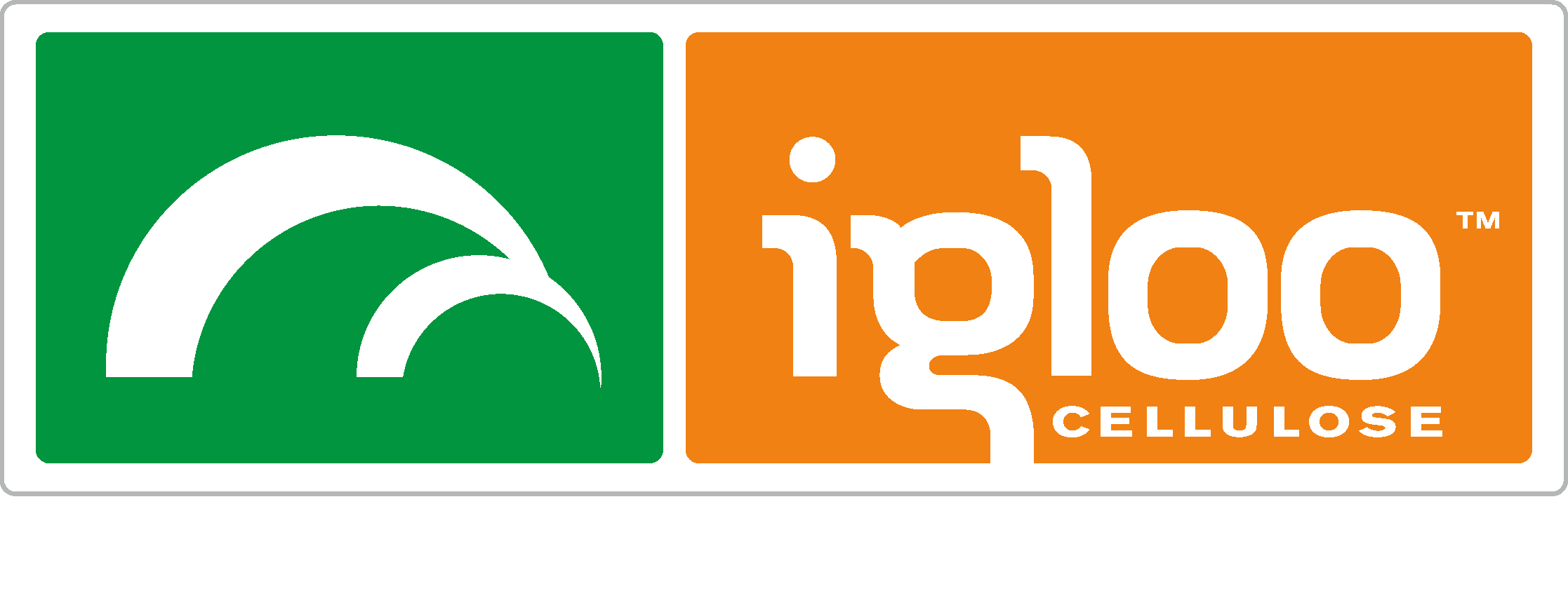 Igloo